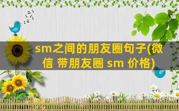 sm之间的朋友圈句子(微信 带朋友圈 sm 价格)